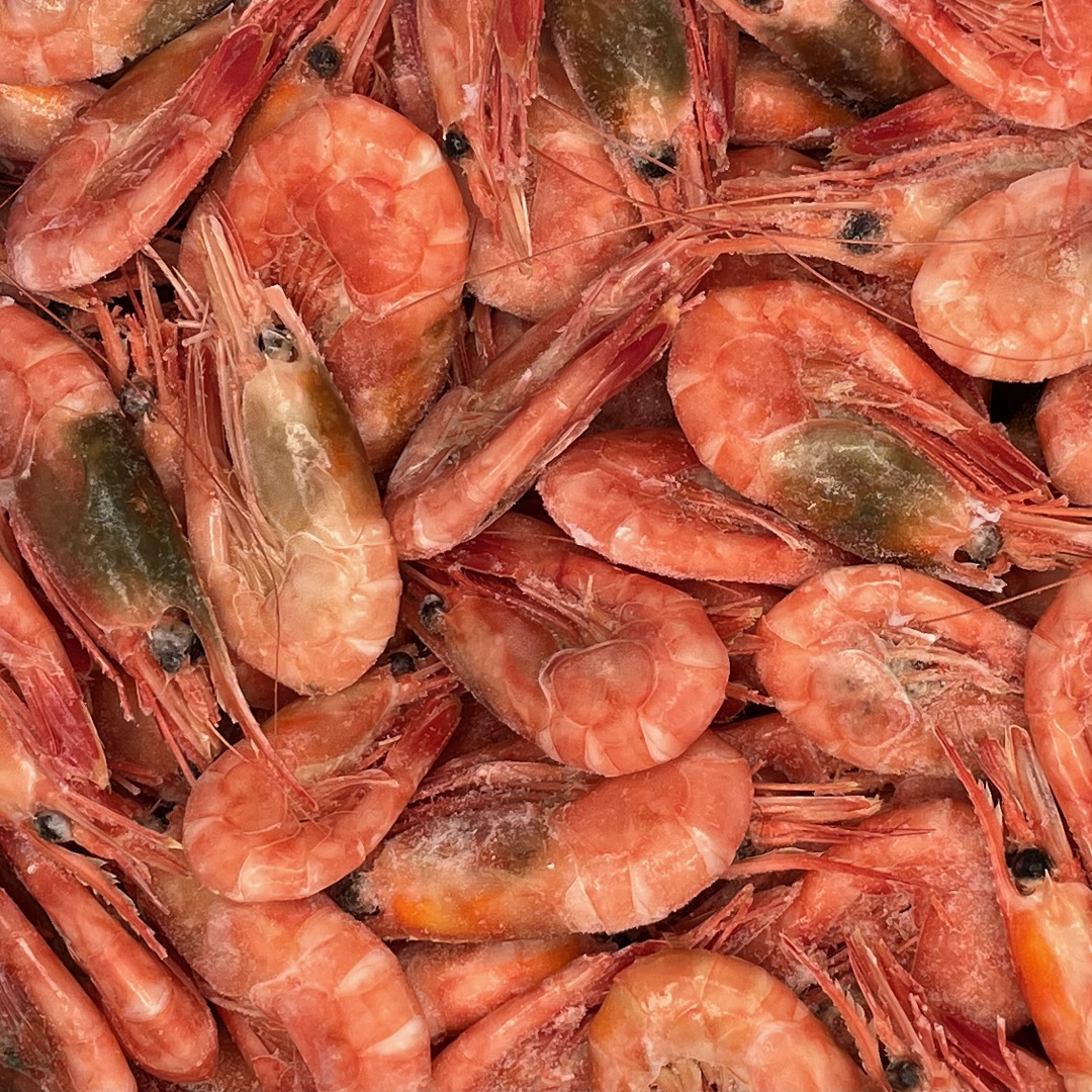 Northern Murmansk shrimp