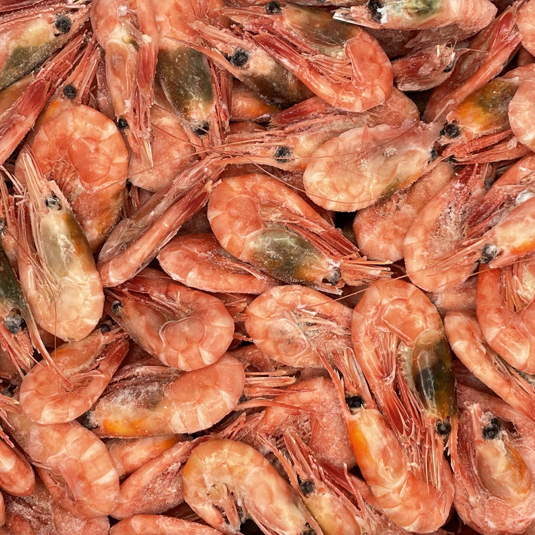 Northern shrimp 90 - 120