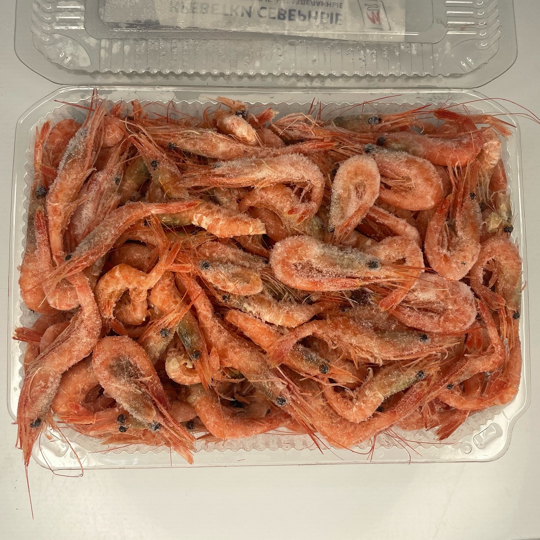 Northern shrimp 150+