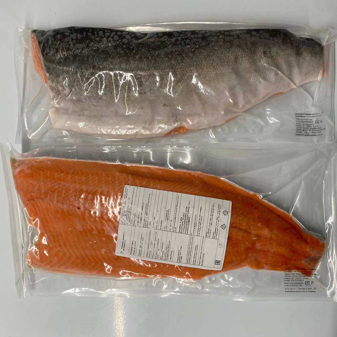 Coho salmon fillet
